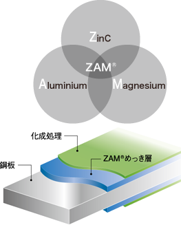 ZAM