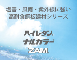 ハイレタンナルカラー
